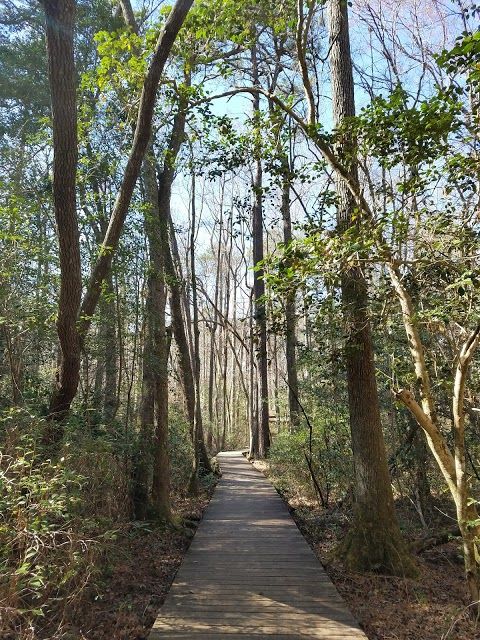 Weymouth Woods-Sandhills Nature Preserve-Museum